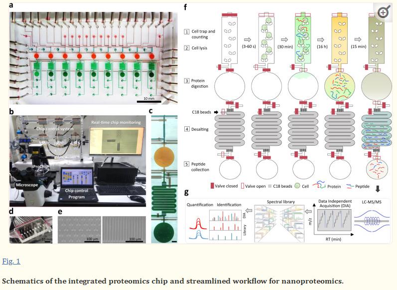 Proteomics Sample Preprocessing: Extraction Method Selection