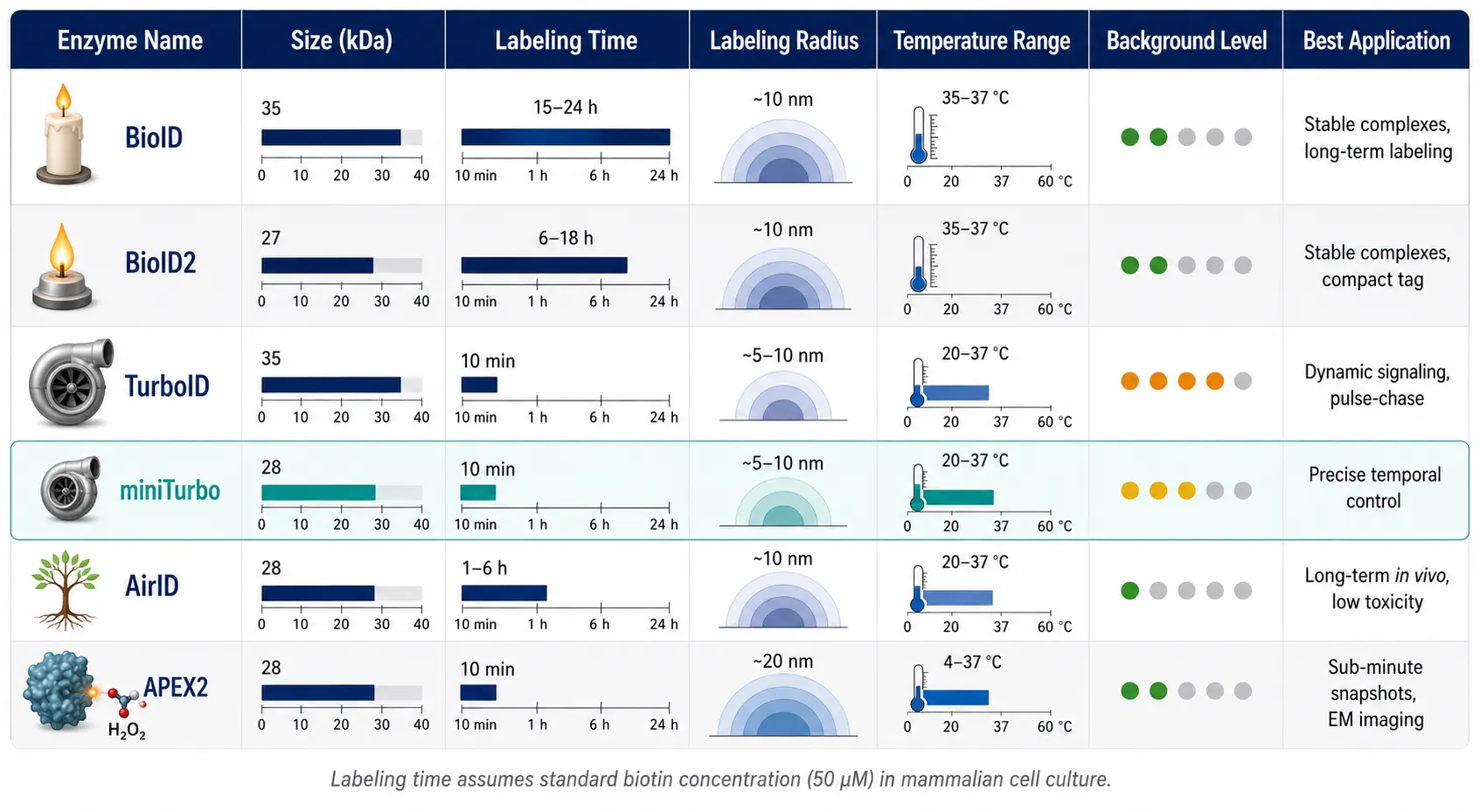 Figure 2: Enzyme comparison table — BioID, BioID2, TurboID, miniTurbo, AirID, APEX2 — columns for size, labeling time, labeling radius, temperature range, background level, substrate, best application