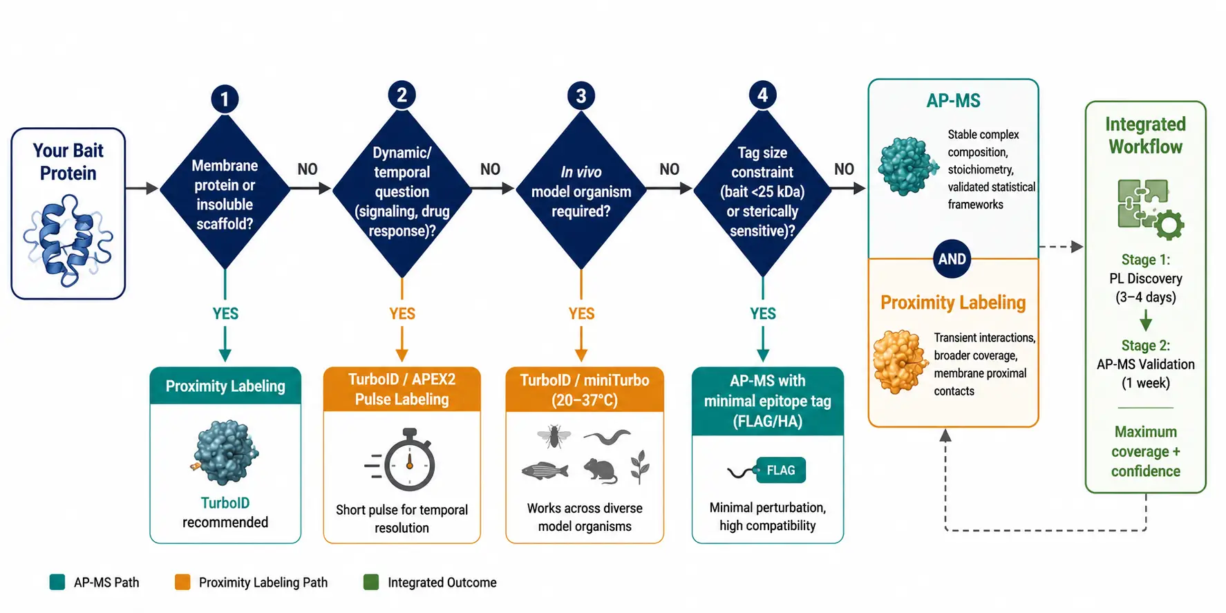 Figure 4: Decision tree flowchart — biological question to bait properties to recommended method (AP-MS / PL / Both), with key branch points labeled