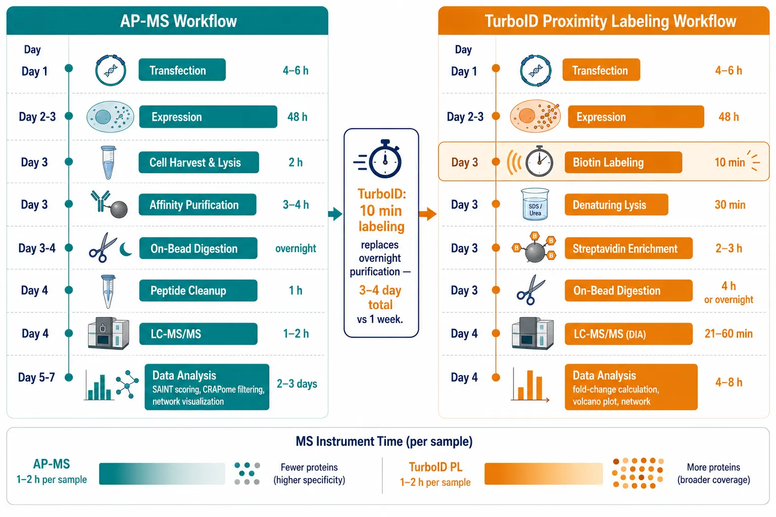 Figure 5: Timeline comparison — side-by-side experimental timelines for AP-MS (1 week) vs TurboID PL (3-4 days) with key steps annotated