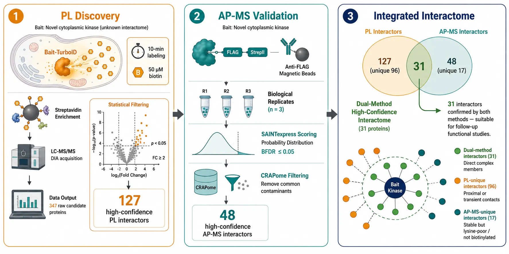 Figure 6: Case study workflow — PL discovery experiment (TurboID, 10-min label, streptavidin enrichment, DIA-MS) to candidate list to AP-MS validation experiment (FLAG-StrepII tandem tag, SAINT scoring) to high-confidence interactome with dual-method support