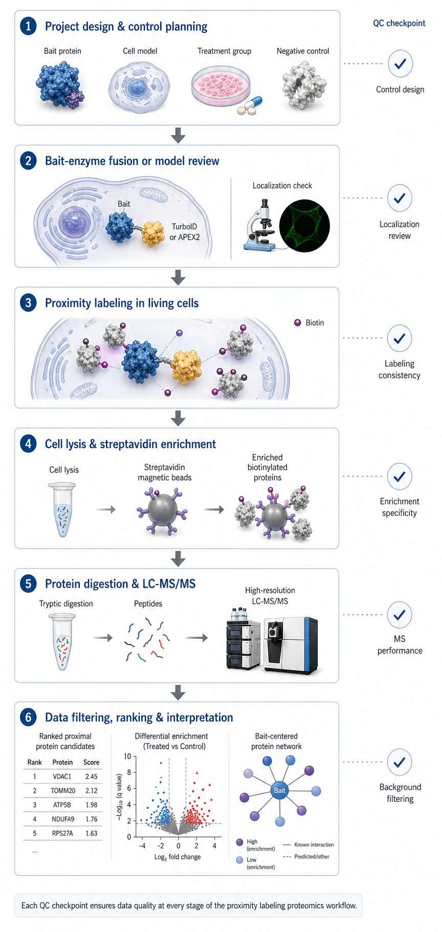 Vertical workflow diagram for proximity labeling proteomics with QC checkpoints from project design to data interpretation.