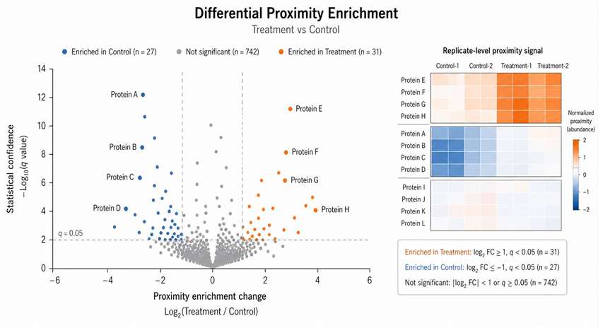 Demo proximity labeling proteomics results showing differential enrichment volcano plot.