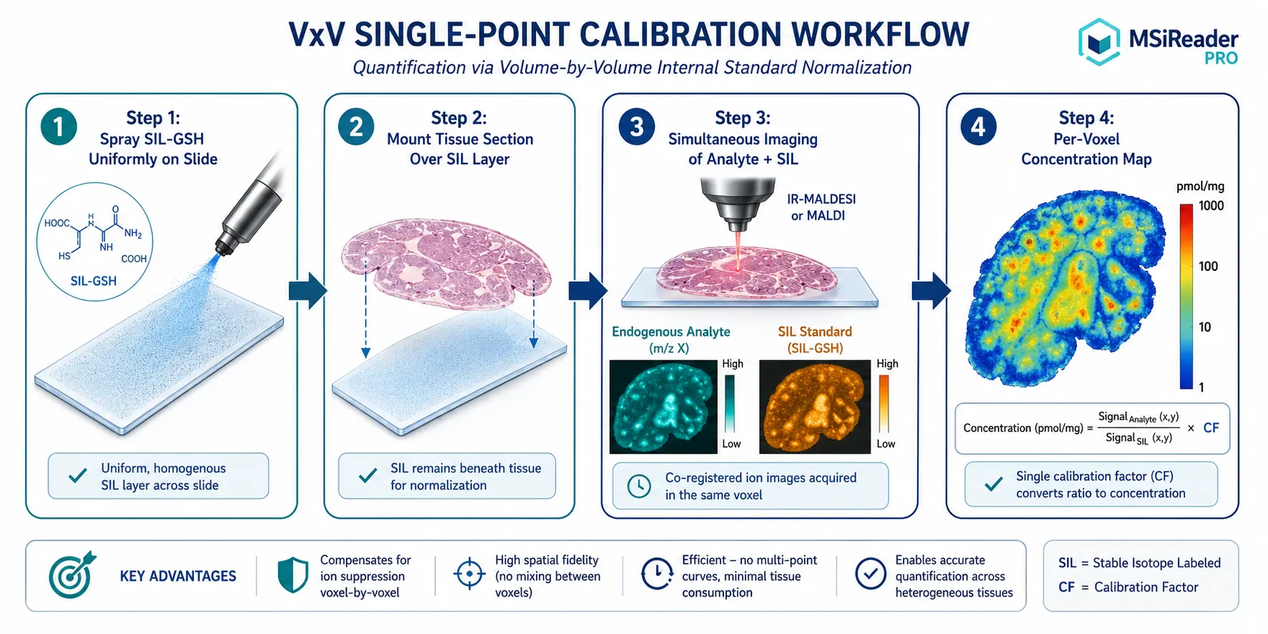 Voxel-by-Voxel Single-Point Calibration Workflow