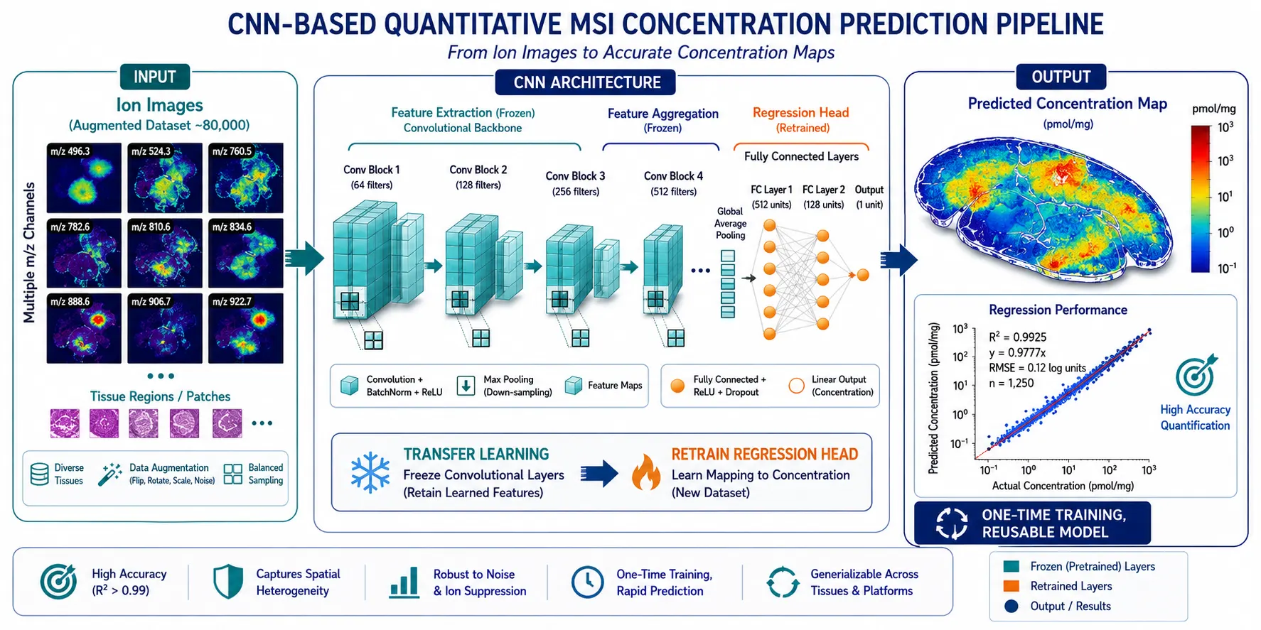 CNN-Based QMSI Prediction Pipeline