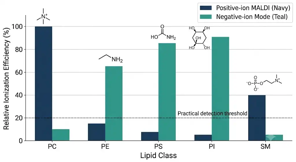 Quantitative Spatial Lipidomics: Absolute Quantification of Lipid Species in Tissue Sections