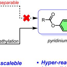 Figure 1 from PMC10988577, illustrating a robust methodology for lysine-selective chemoproteomic profiling and active site mapping.