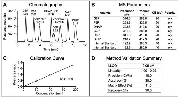 HILIC-MS/MS method parameters — chromatography conditions, MRM transitions, and validation data