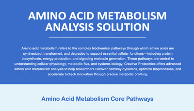 Amino Acid Metabolism Analysis Solution