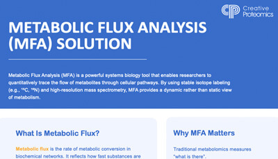 Metabolic Flux Analysis Solution