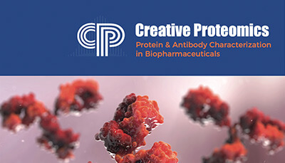 Protein Antibody Characterization in Biopharmaceuticals