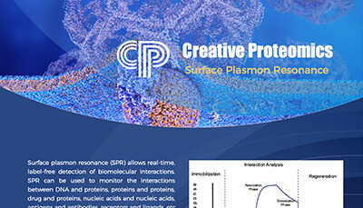 Surface Plasmon Resonance