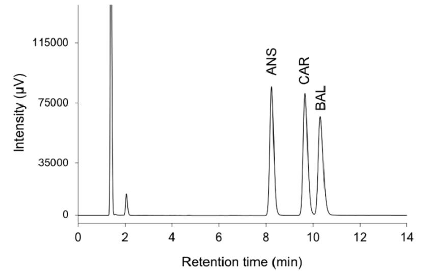 Reversed Phase Ion Pair Chromatography in Amino Acid Analysis
