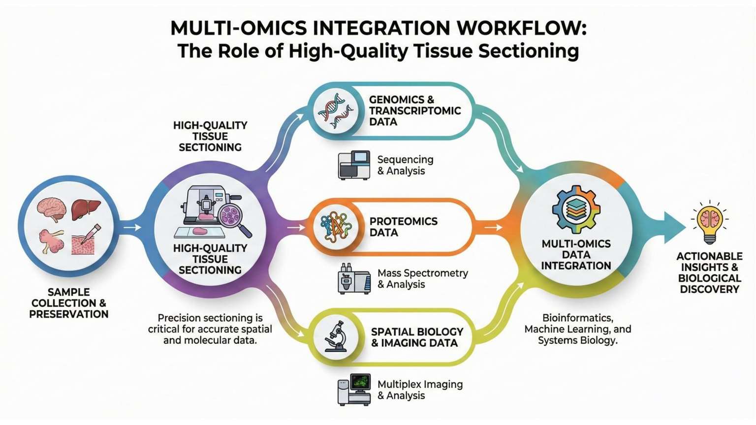 Multi-Omics Integration Diagram