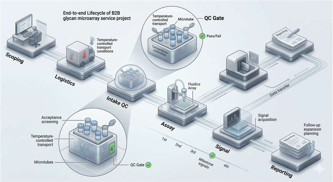 RUO glycan microarray outsourcing workflow