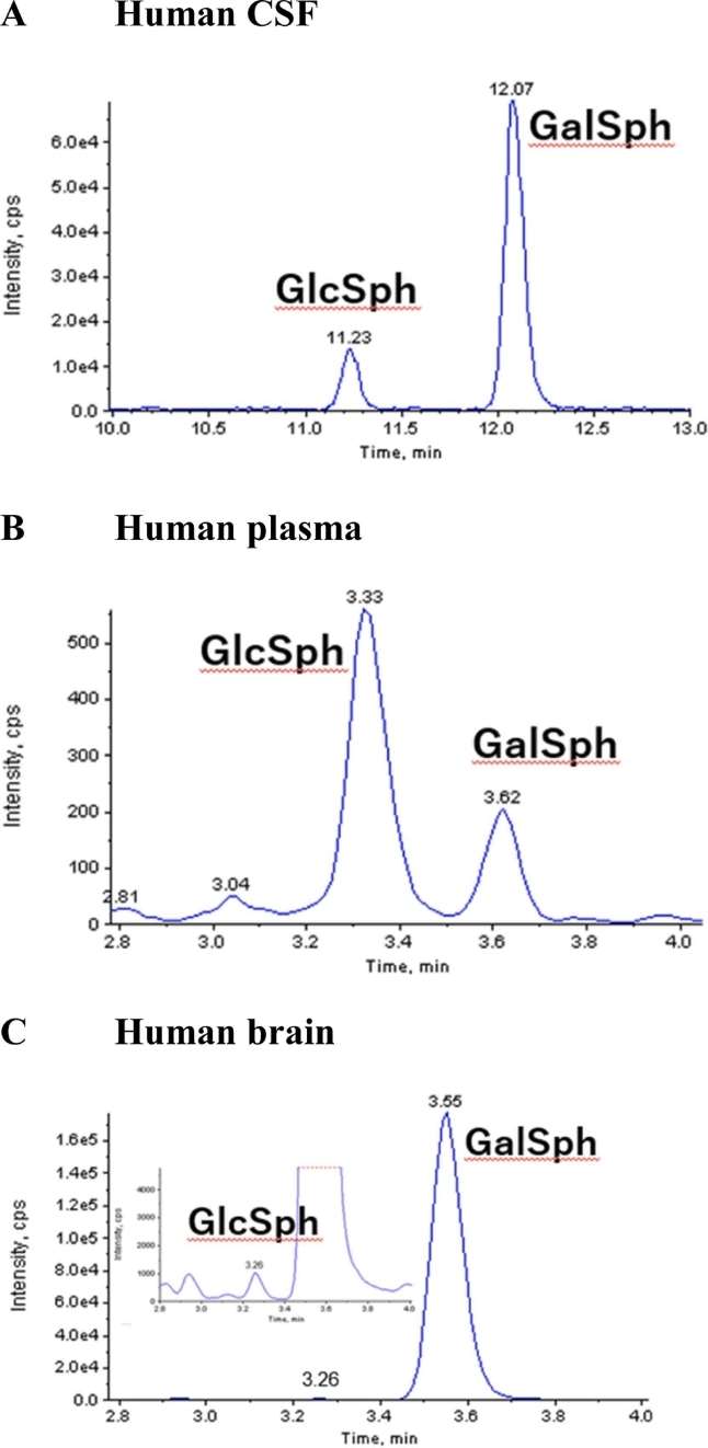 Sensitive Quantification of GlcSph and GalSph in Human CSF Plasma and Brain