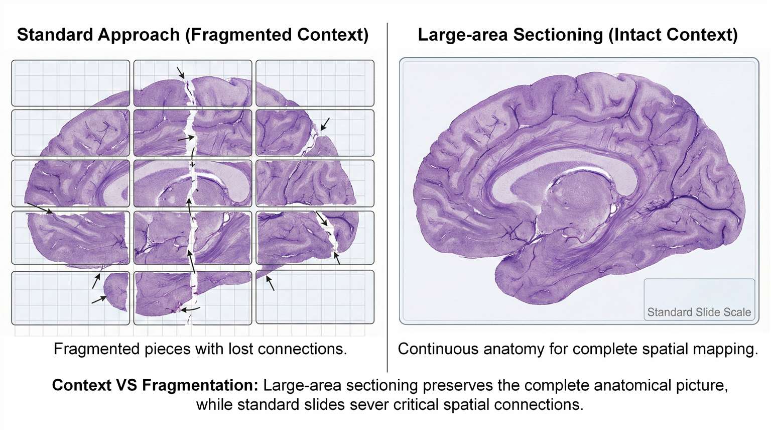 Large-Area Sectioning