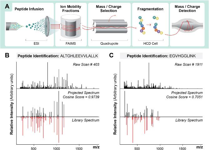 https://www.creative-proteomics.com/upload/image/shotgun-protein-identification-service-figure2.jpg