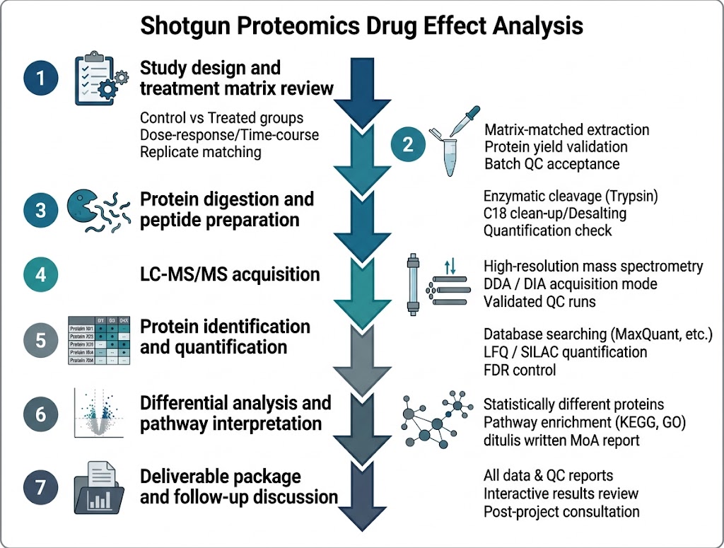 Workflow diagram for shotgun proteomics drug effect analysis with QC checkpoints.