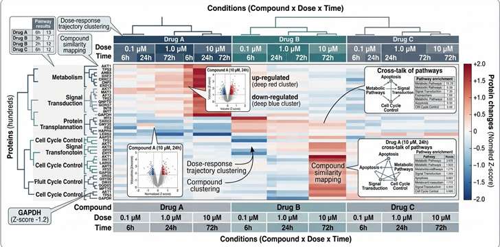 Compound response clustering map for proteomics drug effect analysis.