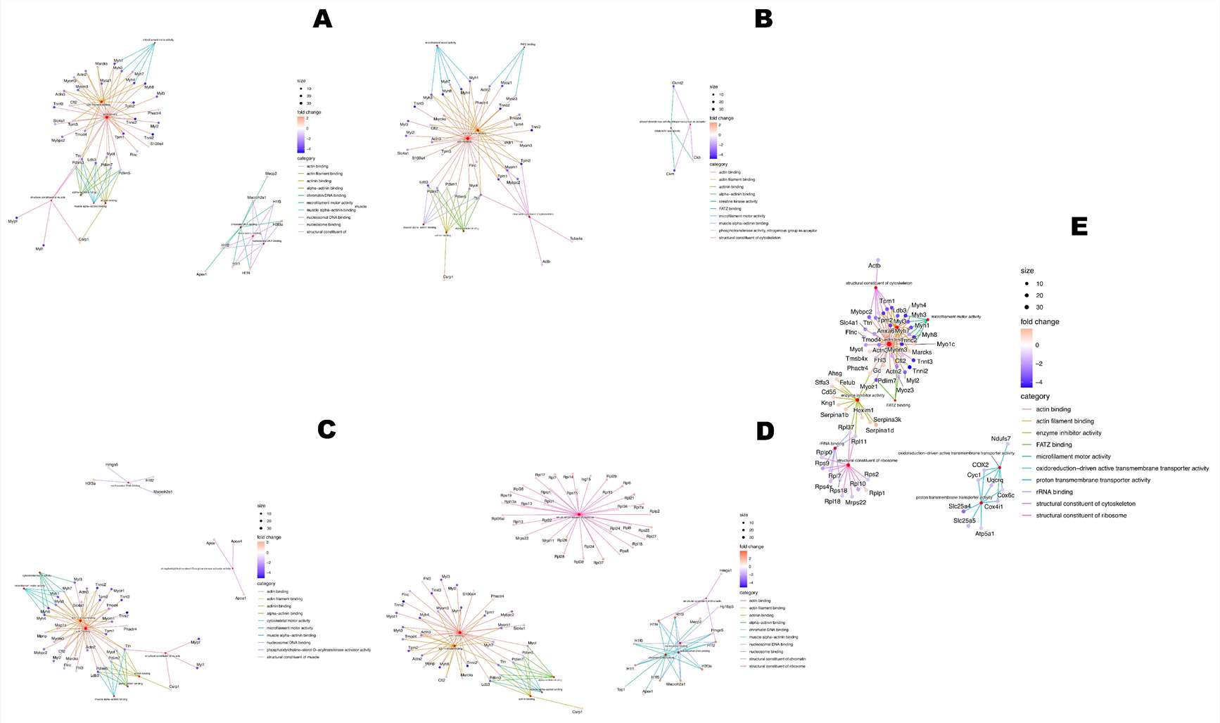 Figure 4 showing network enrichment analysis of differentially expressed proteins after treatment in a non-Hodgkin lymphoma mouse model.