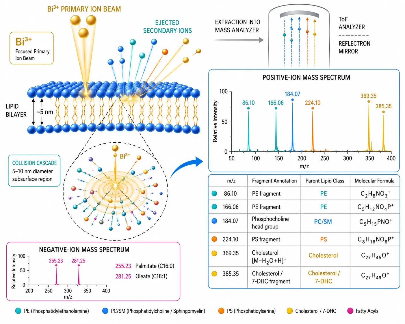 SIMS Imaging for High-Resolution Spatial Lipidomics: Nanoscale Lipid Mapping from Membranes to Organelles