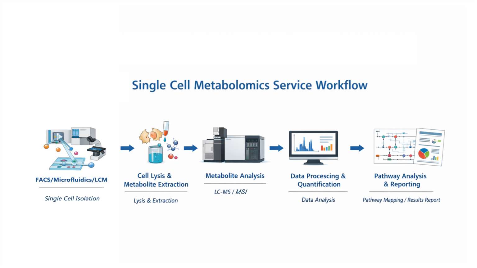 workflow of single cell metabolomics