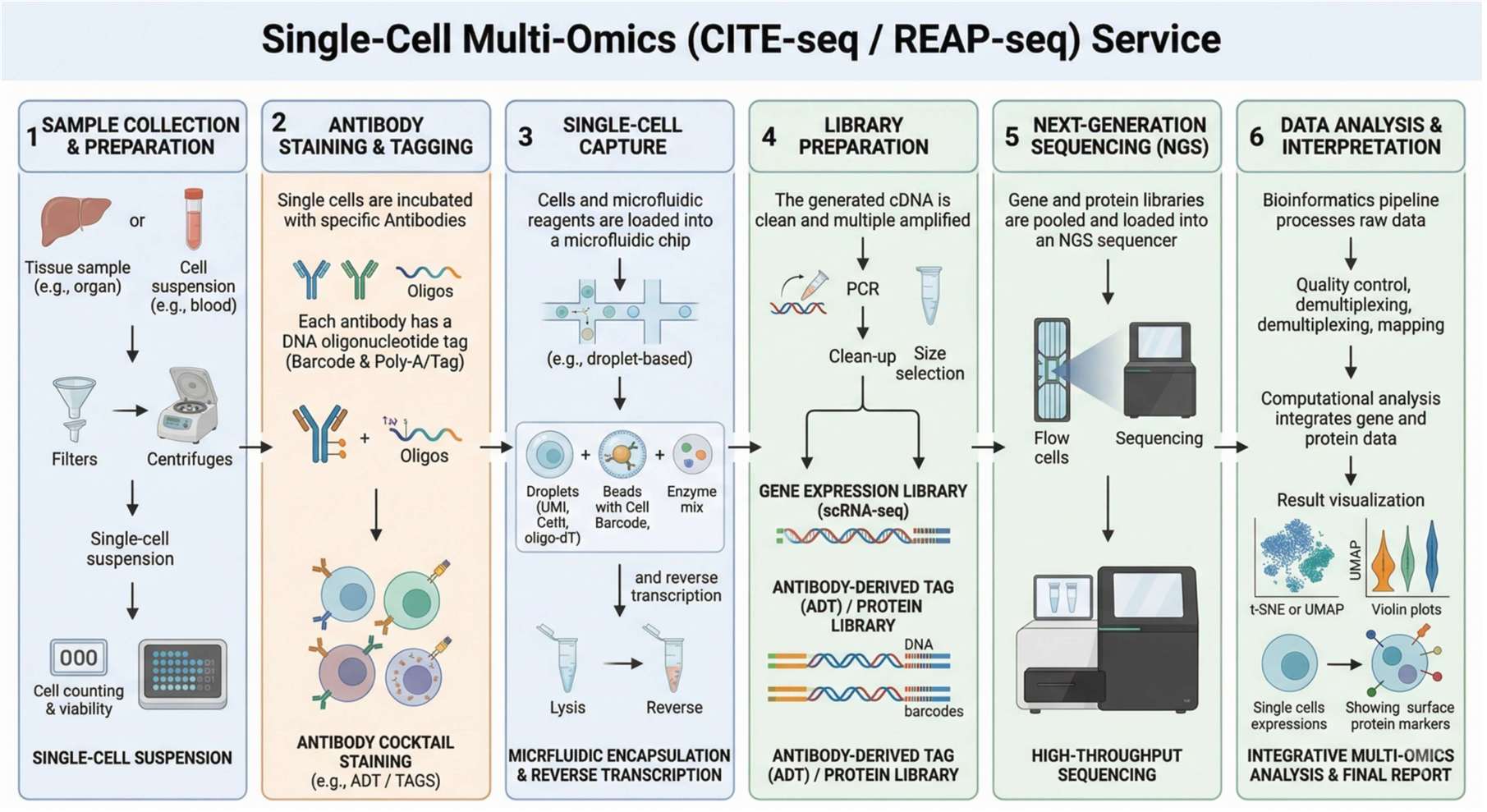 workflow of Single-Cell Multi-Modal Profiling (CITE-seq / REAP-seq)