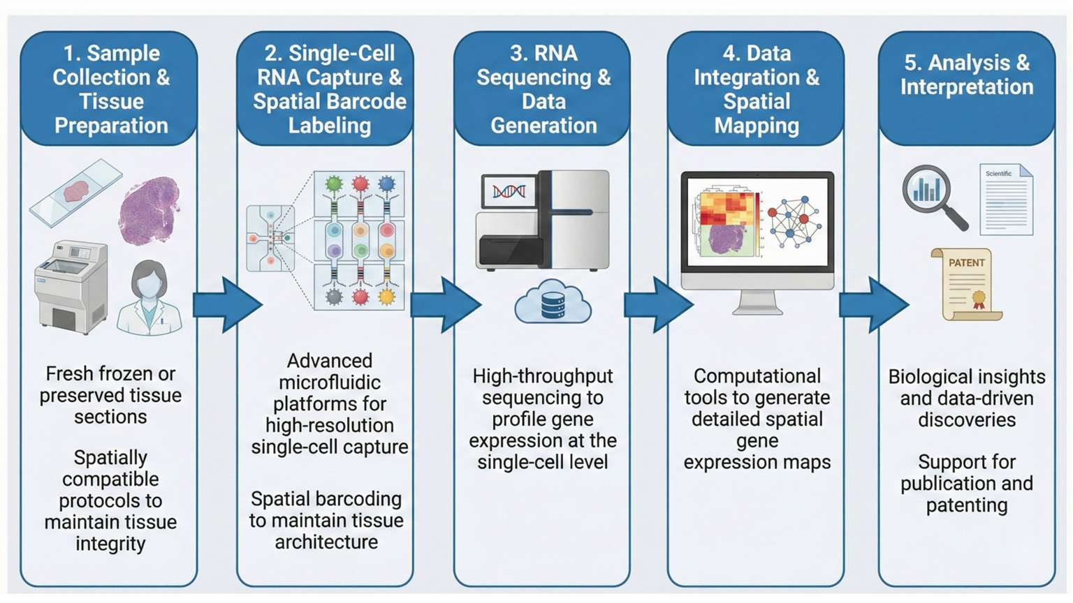 workflow of Single-Cell Spatial Transcriptomics