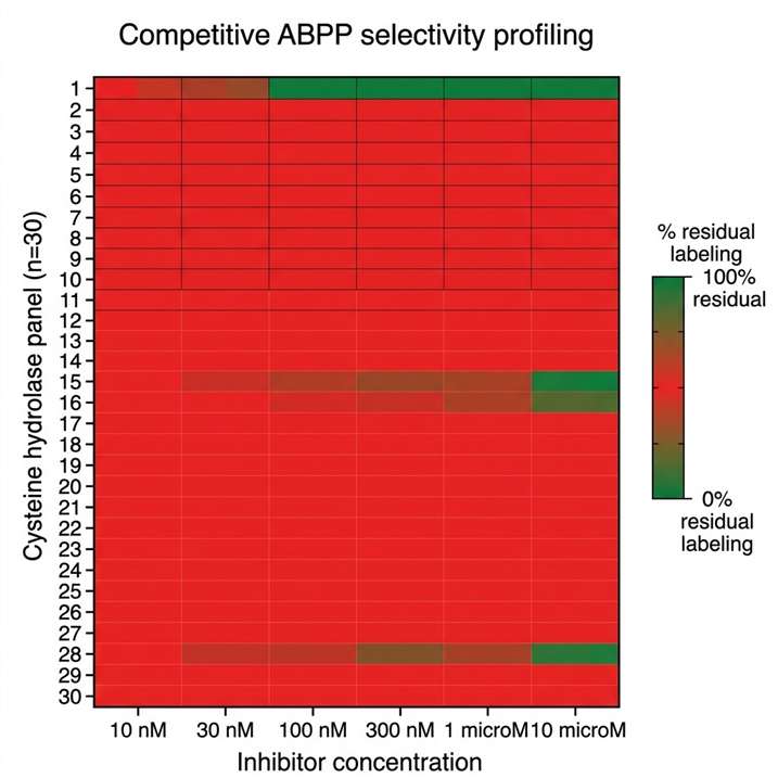 Competitive ABPP selectivity heatmap showing a covalent inhibitor tested against 30 cysteine hydrolase activity-based probes, with >100-fold selectivity shown for the intended target.