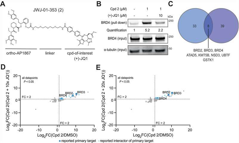 BioTAC system design and validation: Figure 3 showing target enrichment for JQ1 (BRD proteins) and alisertib (Aurora A), and Figure 6 showing trametinib-induced MEK1/2-KSR1 complex detection.