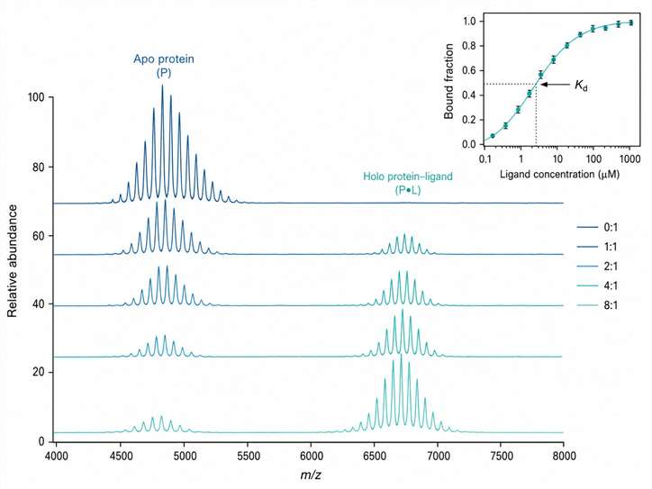 Representative native MS titration data showing apo protein peak shifting as ligand concentration increases, with binding curve plot.