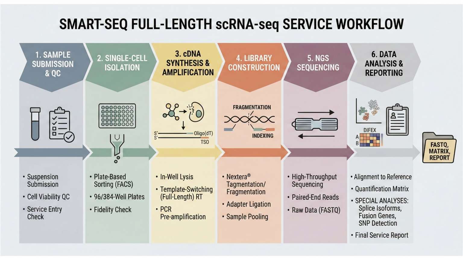 workflow of Smart-Seq Full-Length scRNA-seq