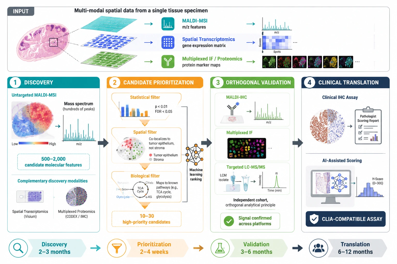 Spatial Biomarker Discovery and Orthogonal Validation: From Multi-Modal Discovery to Multi-Platform Verification