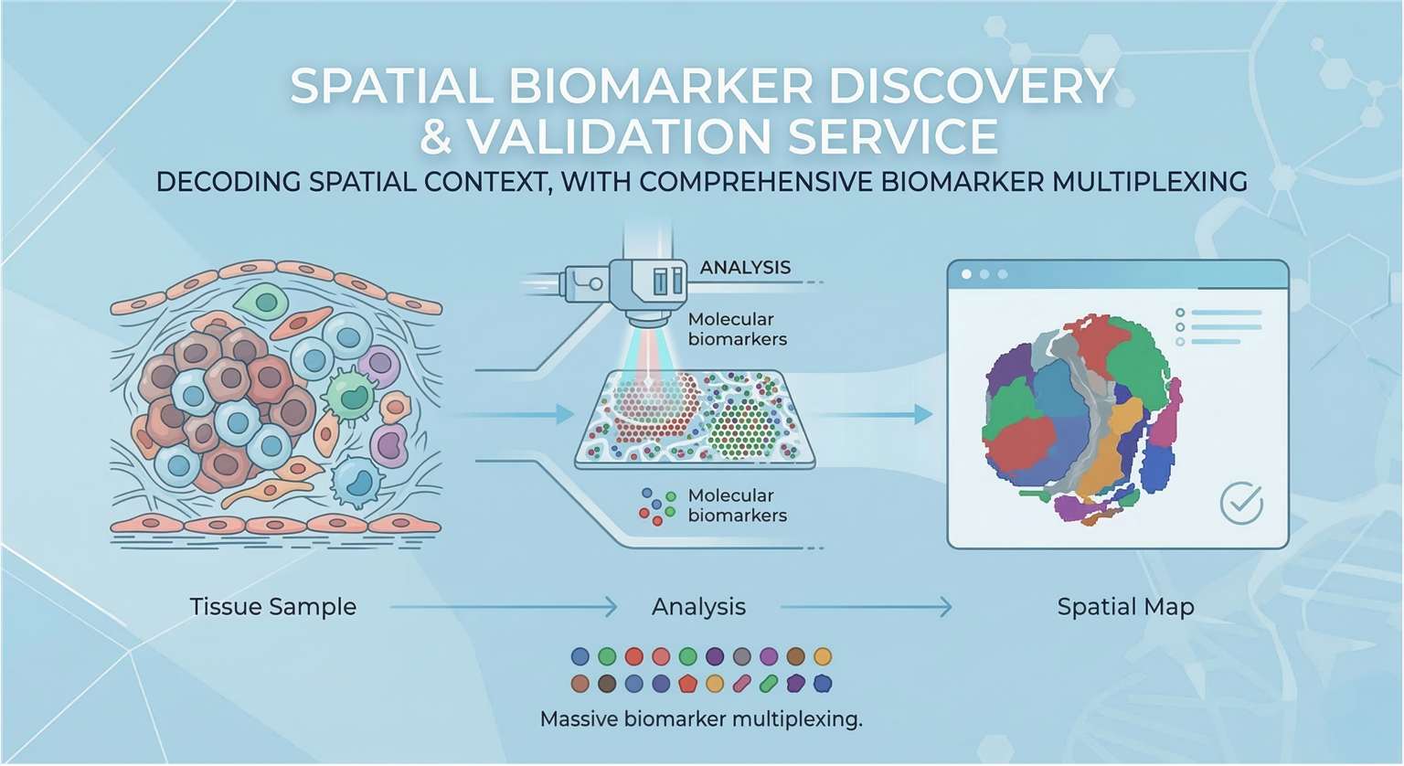 Spatial Biomarker Discovery & Validation Analysis overview