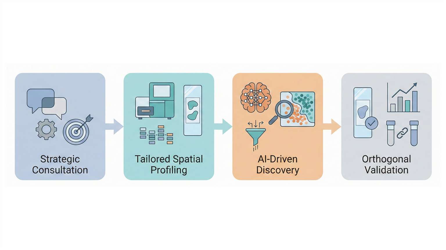 workflow of Spatial Biomarker Discovery