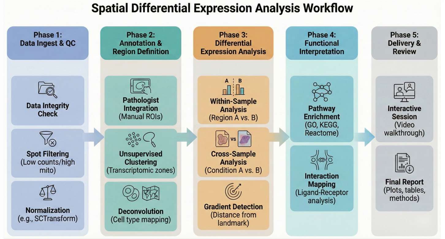 workflow of spatial DE analysis
