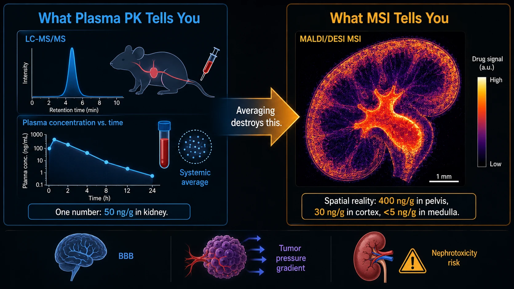 Spatial Drug Distribution Analysis by Mass Spectrometry Imaging: From Tumor Penetration to Tissue-Specific ADME