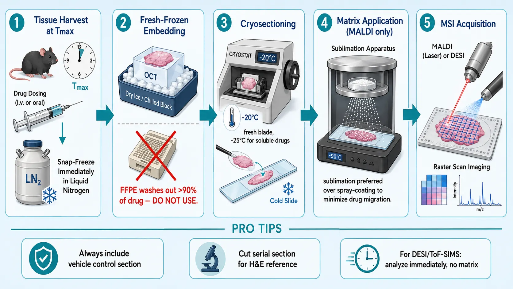 Sample Preparation Workflow for Drug Imaging — From Tissue Harvest to MSI-Ready Section