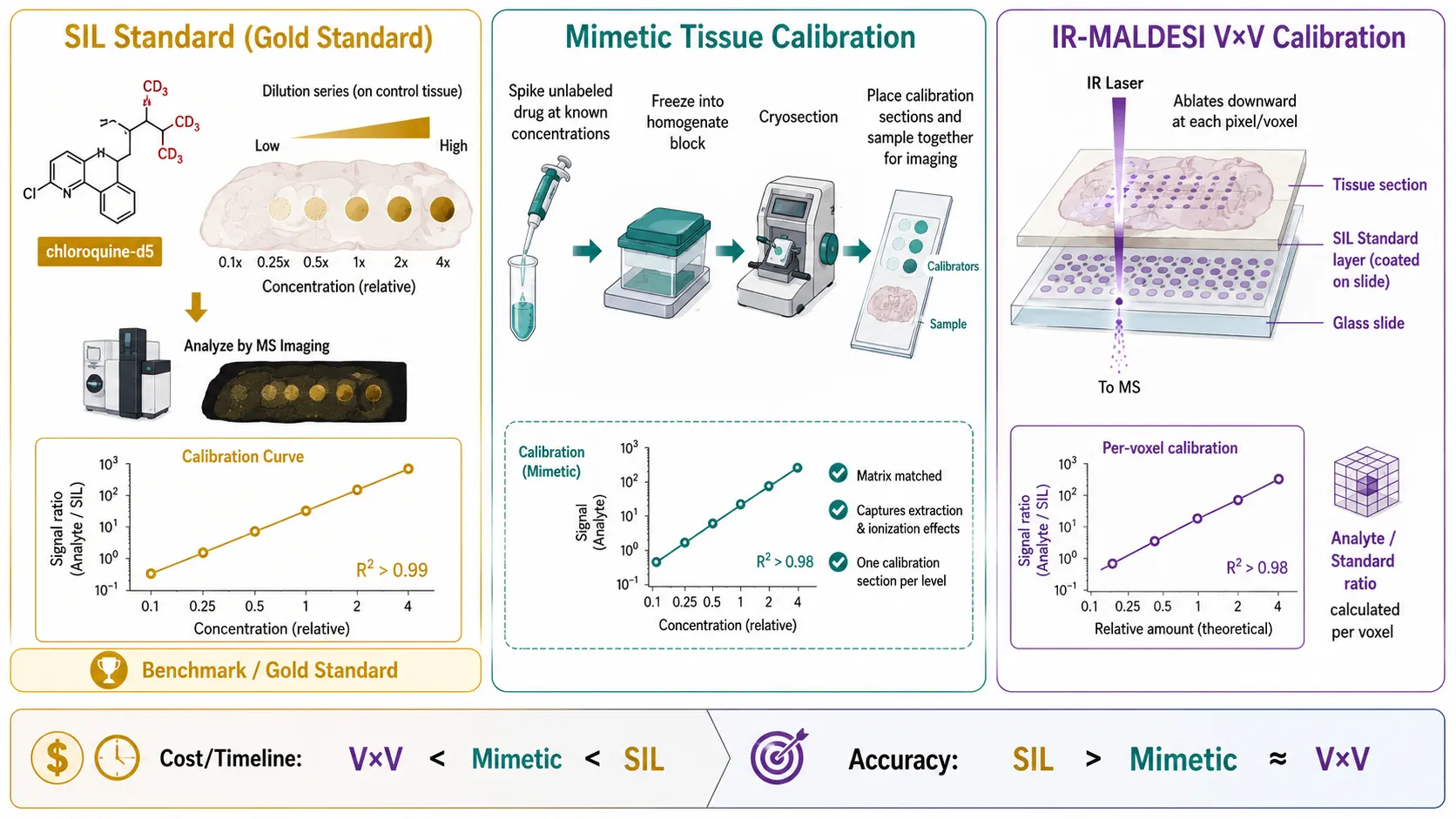 Quantitative Drug Imaging Calibration Workflow — SIL Standards, Mimetic Tissue, and V×V