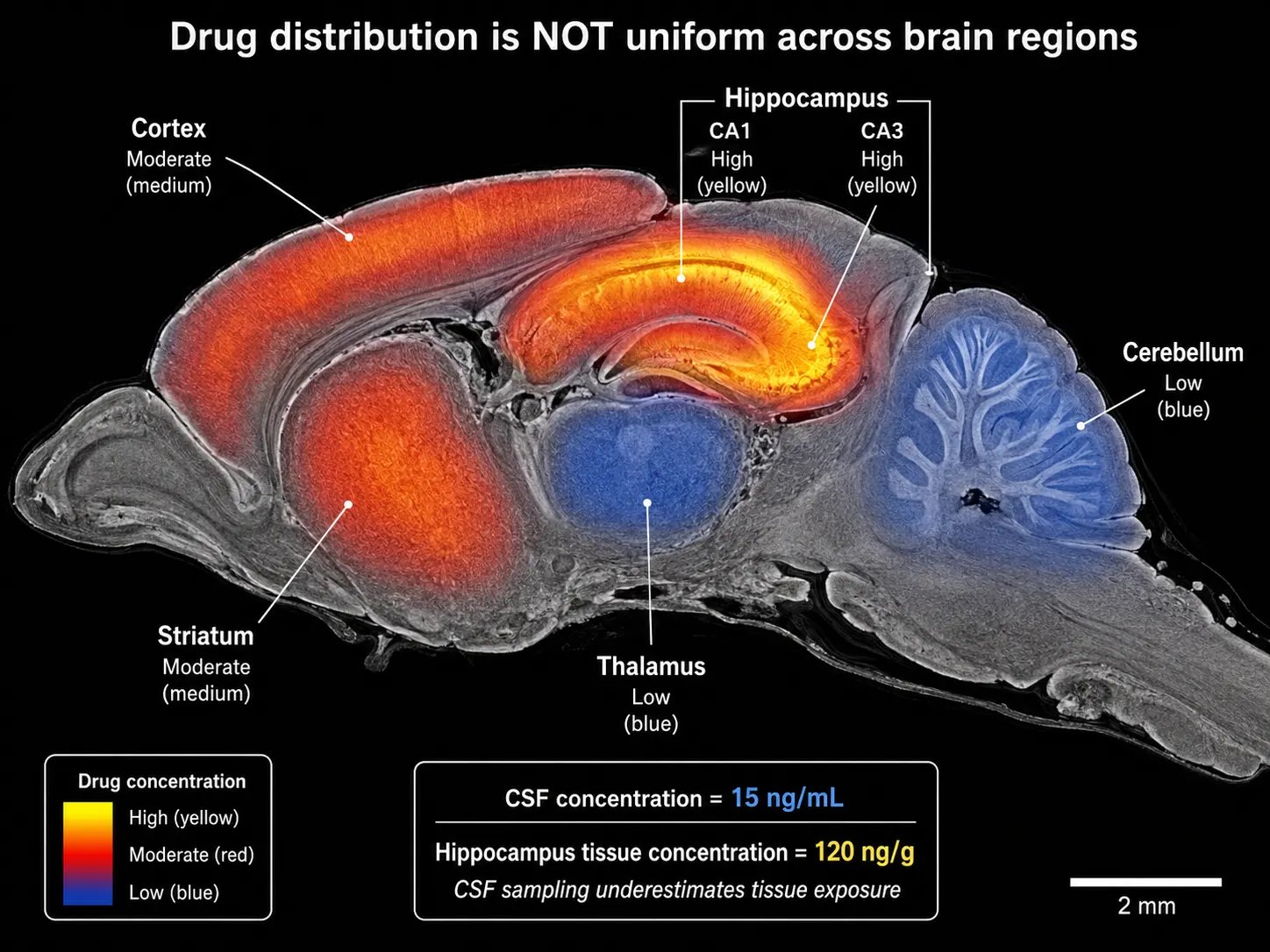 CNS Drug Brain Microregion Distribution — Sagittal Mouse Brain Section with Drug Overlay