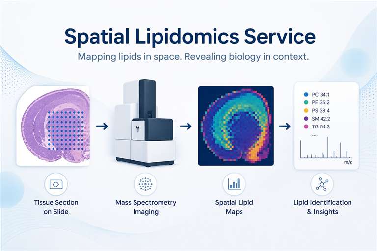 overview of Digital & Molecular Pathology Service