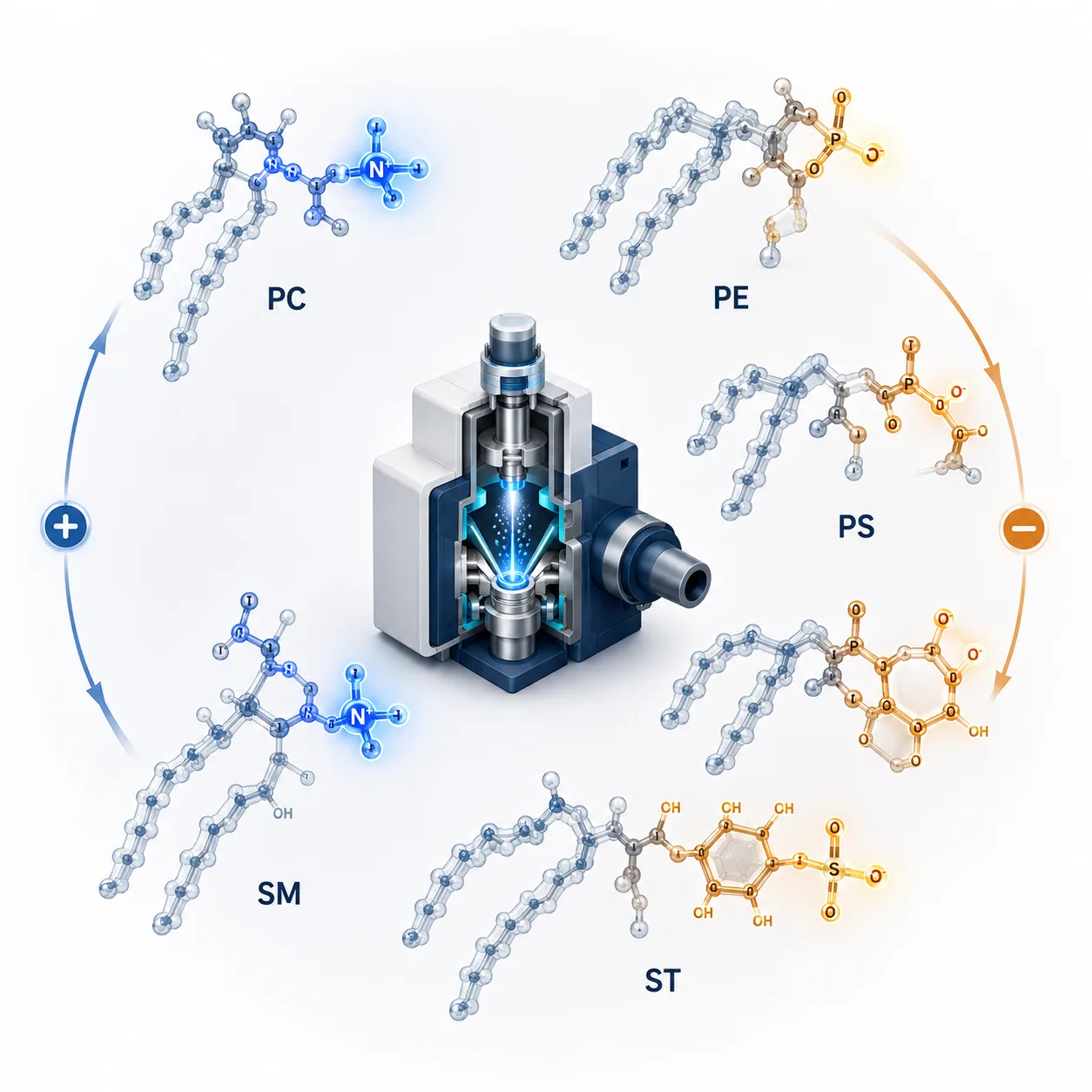 Spatial Lipidomics by Mass Spectrometry Imaging: Technology Landscape and Lipid-Specific Considerations
