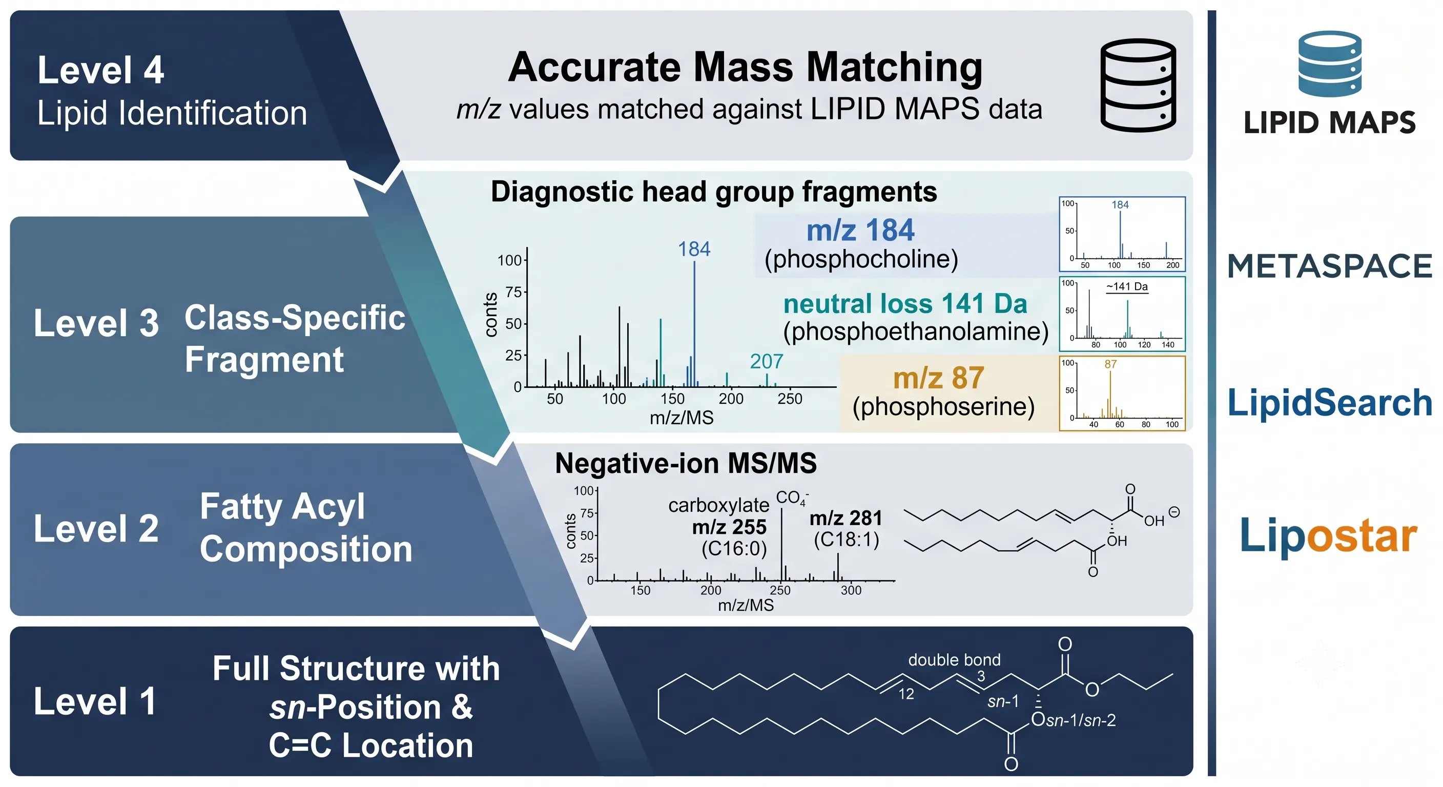 Lipid annotation pipeline — from raw MSI data through accurate mass matching, MS/MS confirmation, database cross-referencing, and isomer resolution.