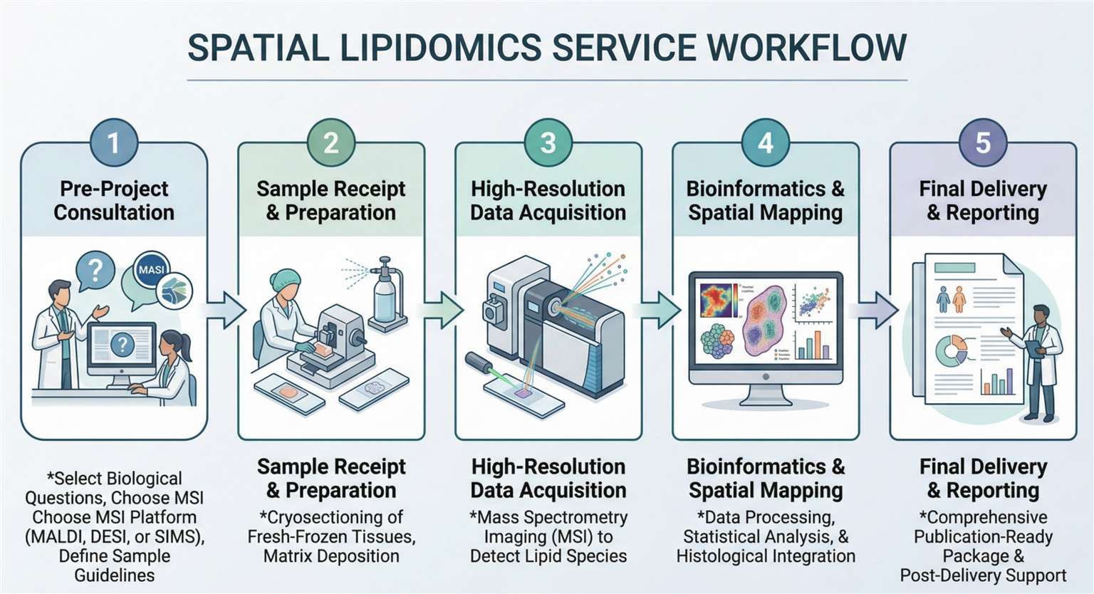 spatial lipidomics workflow