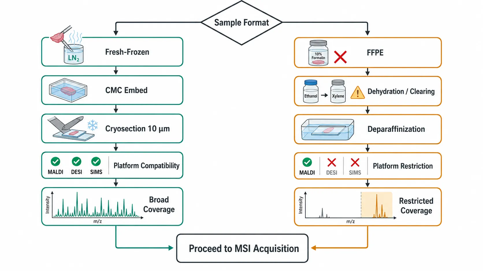 Fresh-frozen vs. FFPE decision logic flowchart. This branching diagram compares the two major tissue preservation routes for spatial