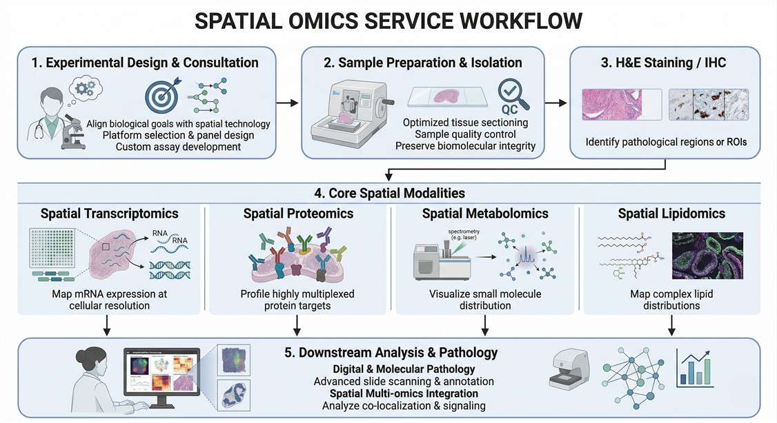 spatial omics service workflow
