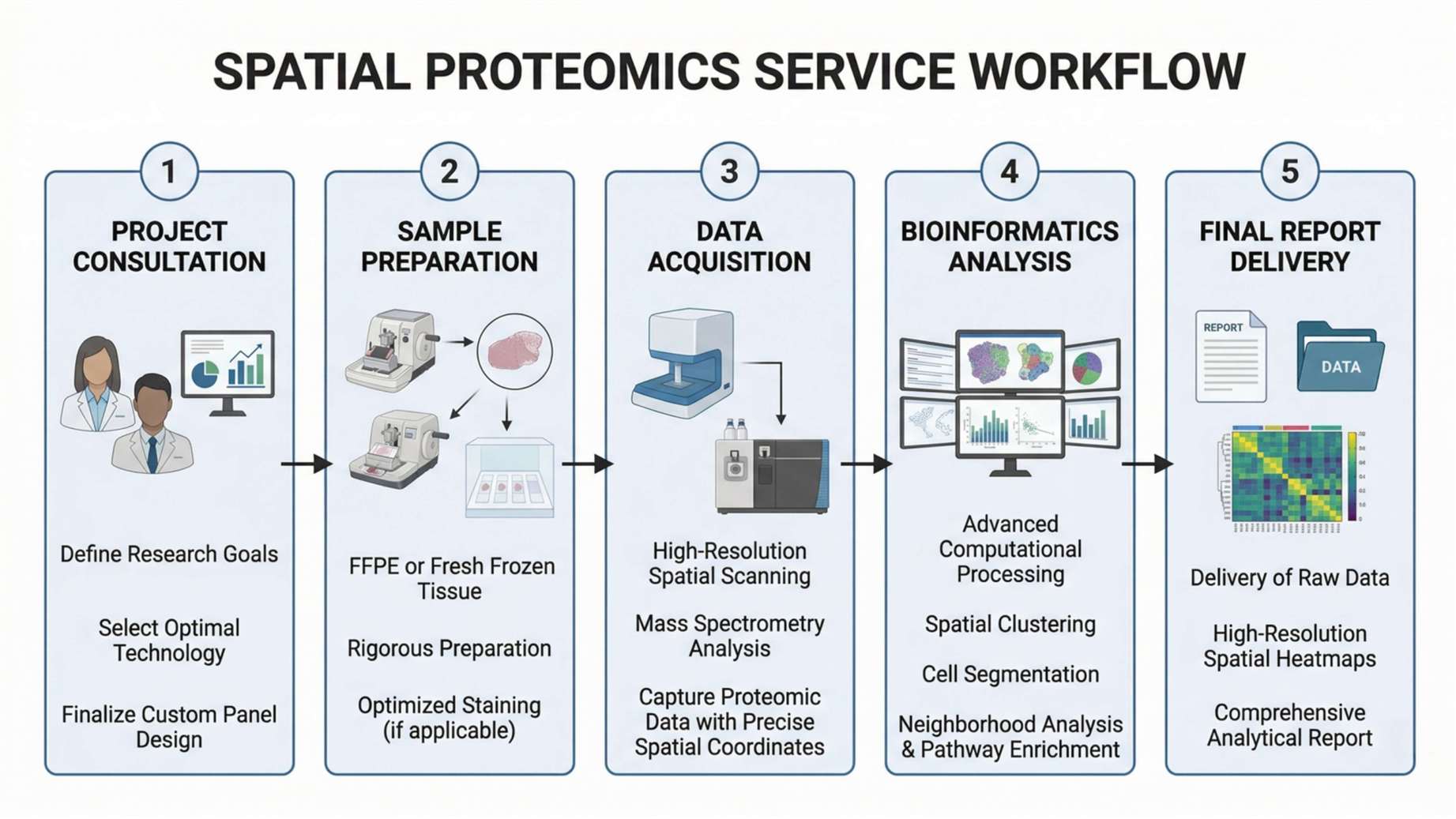 spatial proteomics service workflow