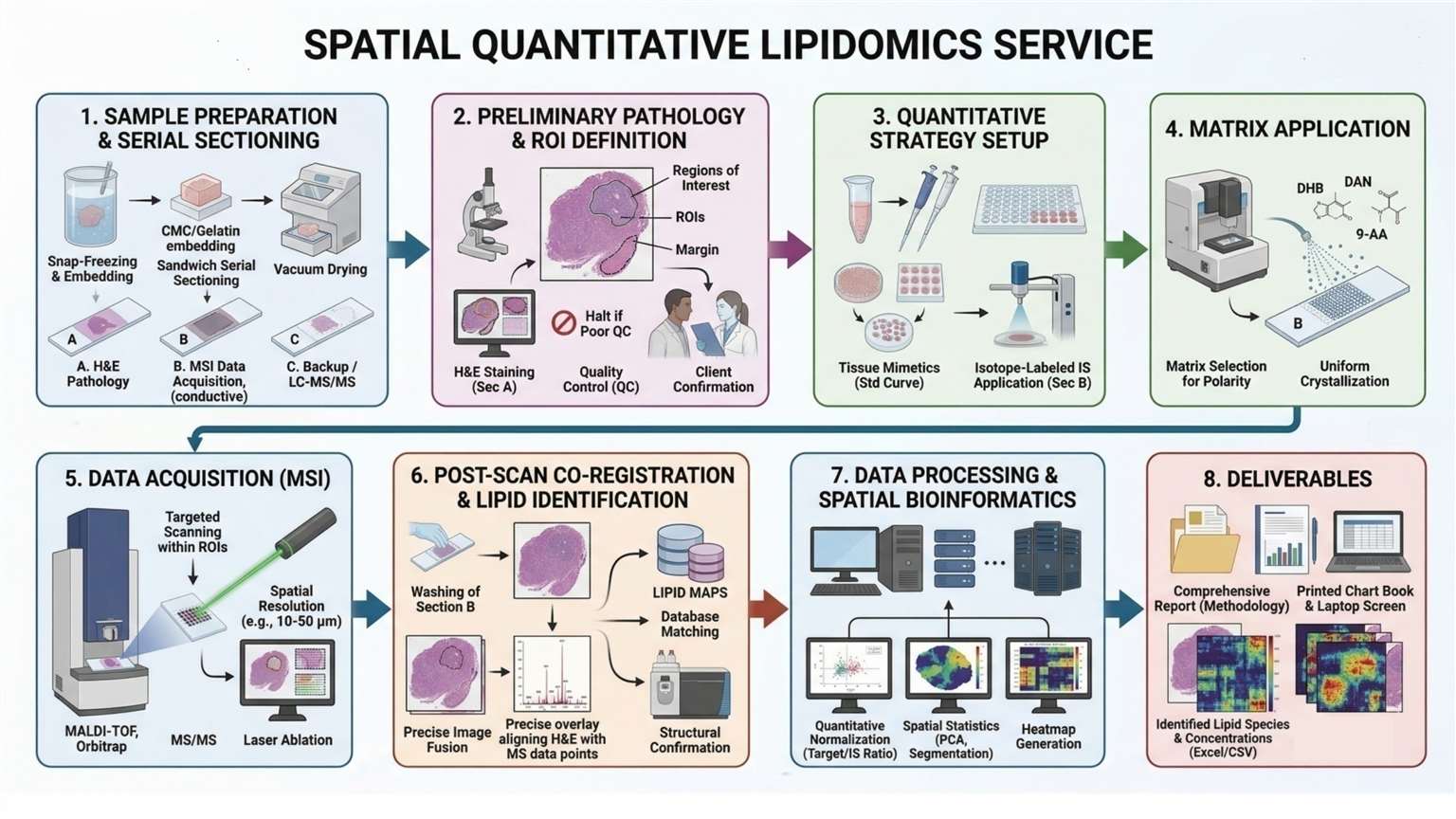 spatial quantitative lipidomics workflow