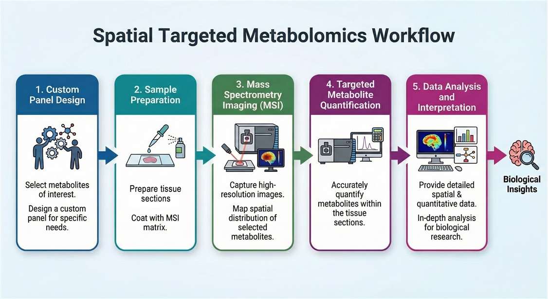 Workflow chart of spatial targeted metabolomics